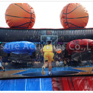 hybrid basketball