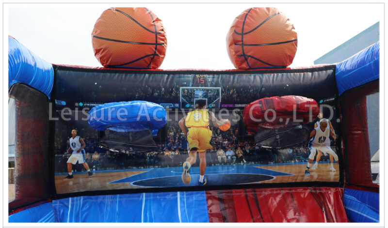 hybrid basketball