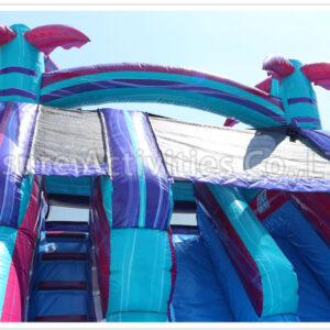 18ft magical vibes double lane water slide ripl