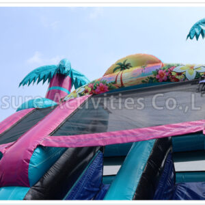 19ft double lane water slide palm beach ripl