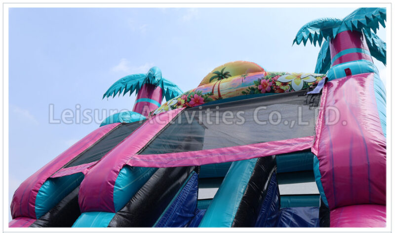 19ft double lane water slide palm beach ripl