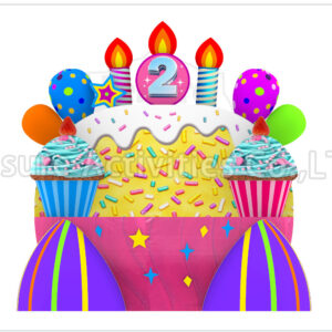 magenta birthday throne