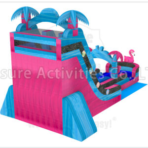 22ft double lane water slide palm beach sl