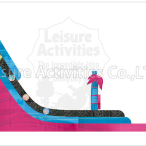 22ft double lane water slide palm beach sl