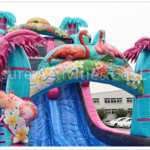 22ft palm beach double lane water slide sl