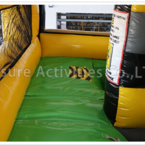 plunge slide double lane dry